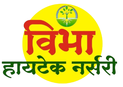 vibhanurserynashik.in